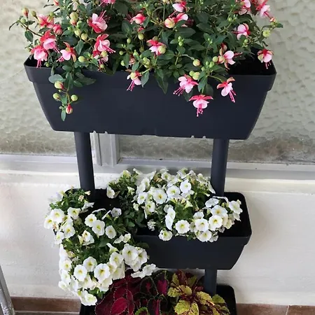 Apartament Totalmente Reformado Con Piscina Y Jardines Al Lado De La Playa De La Carihuela