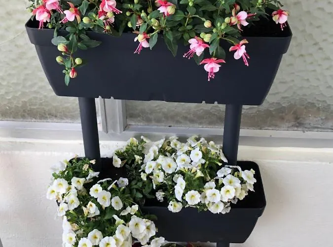 Апартаменты Totalmente Reformado Con Piscina Y Jardines Al Lado De La Playa De La Carihuela